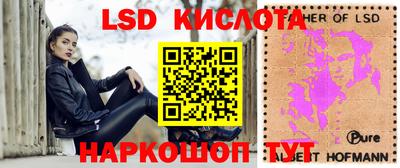 гидра Краснокаменск