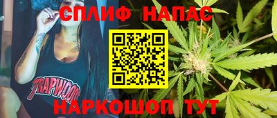 гидра Краснокаменск