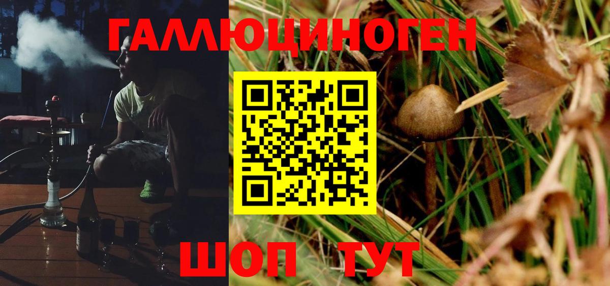 Псилоцибиновые грибы Psilocybine cubensis Донецк